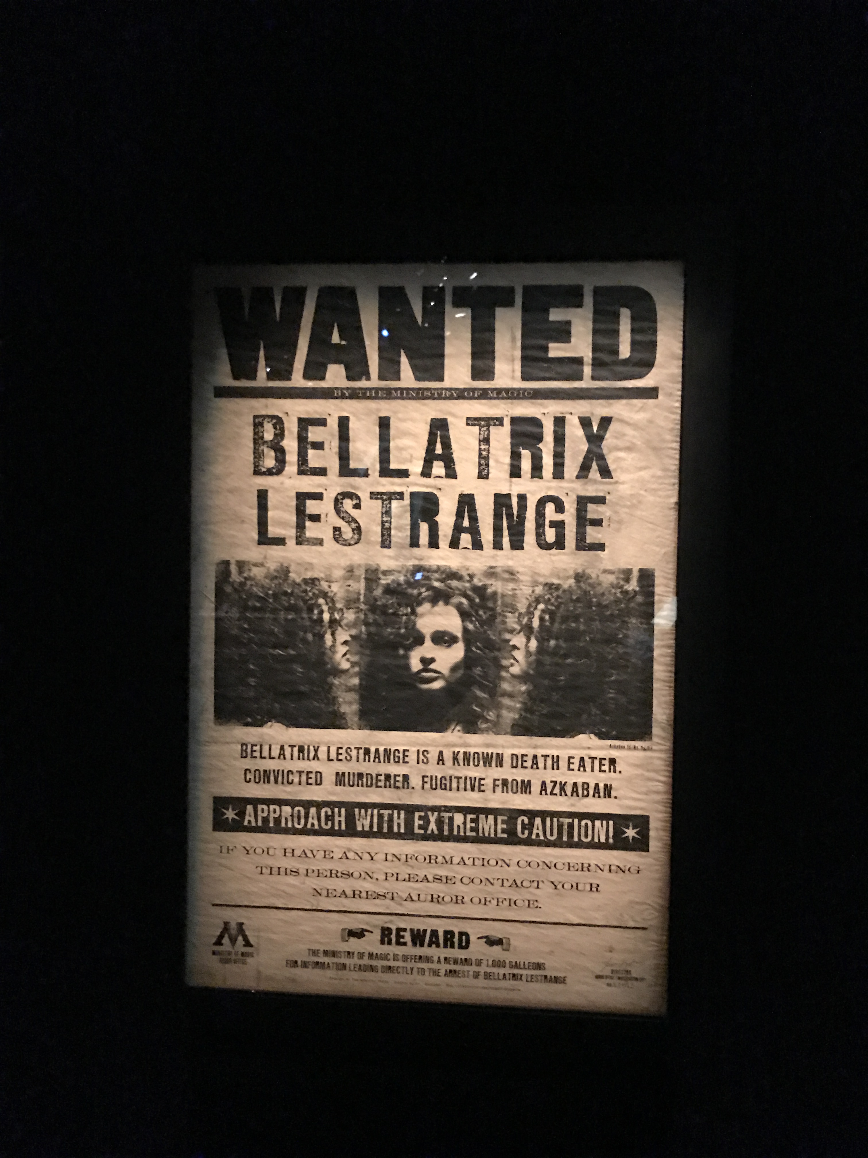 Exposition Harry Potter Bruxelles 2016