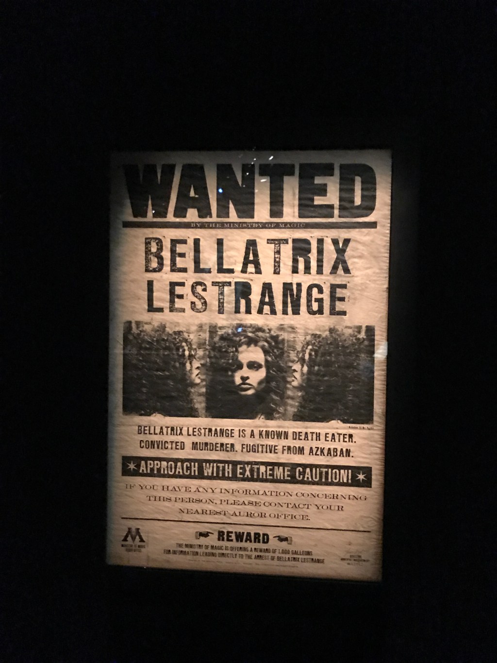 Exposition Harry Potter Bruxelles&nbsp;2016