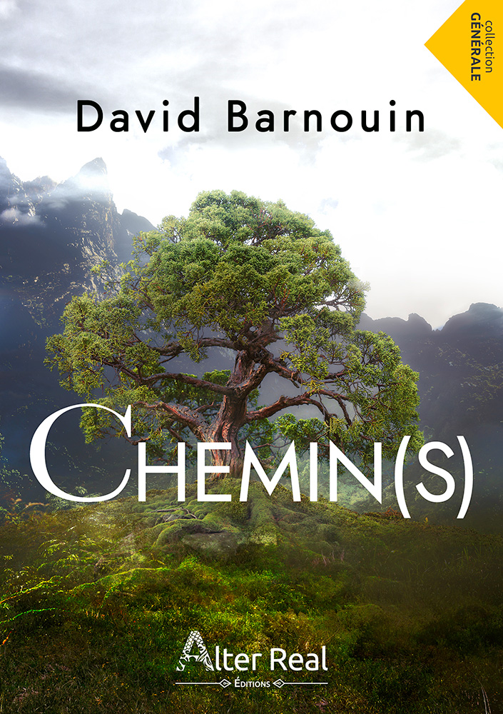 Chemin(s) – David&nbsp;Barnouin
