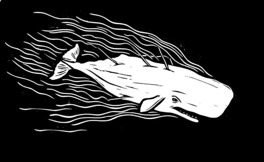 Histoire d'une baleine blanche