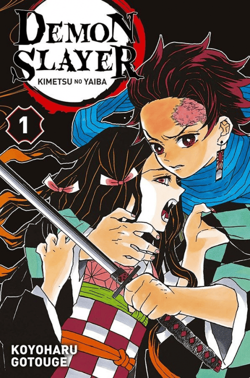 Demon Slayer, T.1 – Koyoharu&nbsp;Gotouge